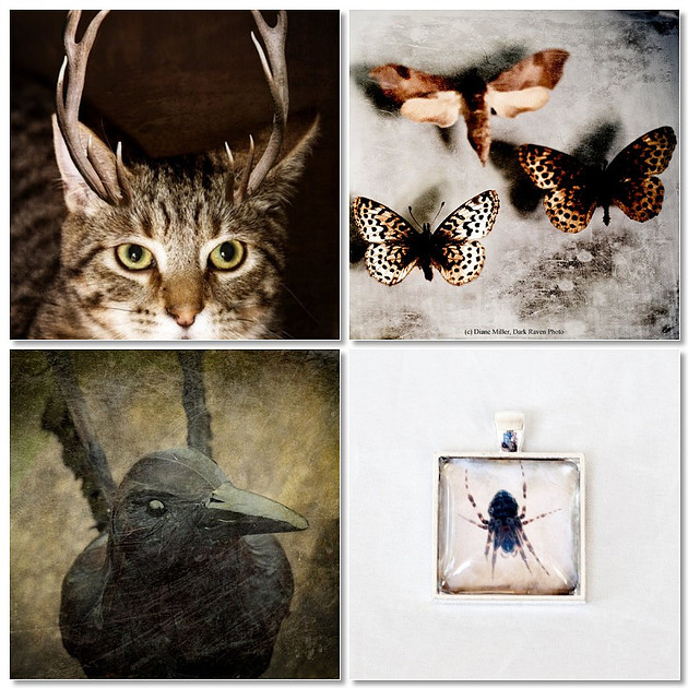 fine art photograph prints and photo jewelry pendent featuring animals and insects.