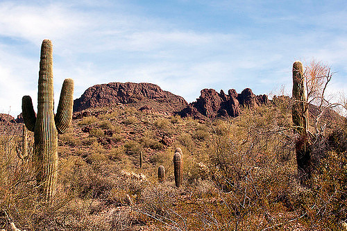 Vultures Peak by The Shutterbug Eye™