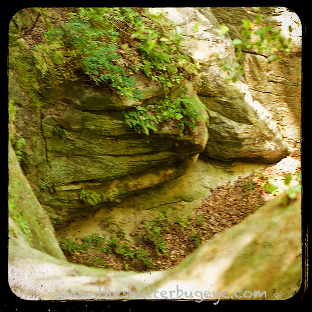 TTV Photo, Sandstone Canyon, Starved Rock, Illinois