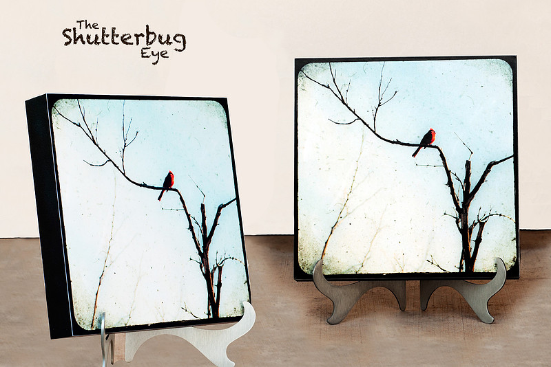 Fine art photography, Celebrity display piece, Primetime Emmys
