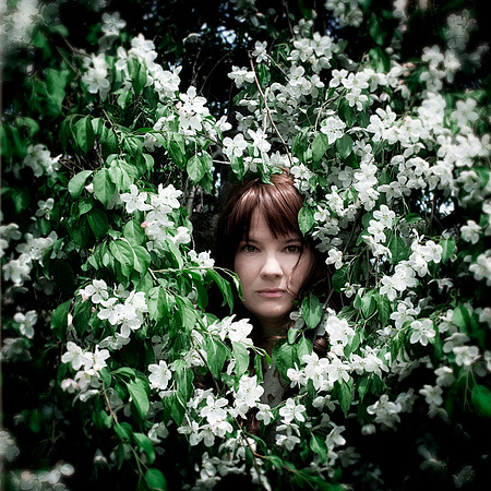White Blossom