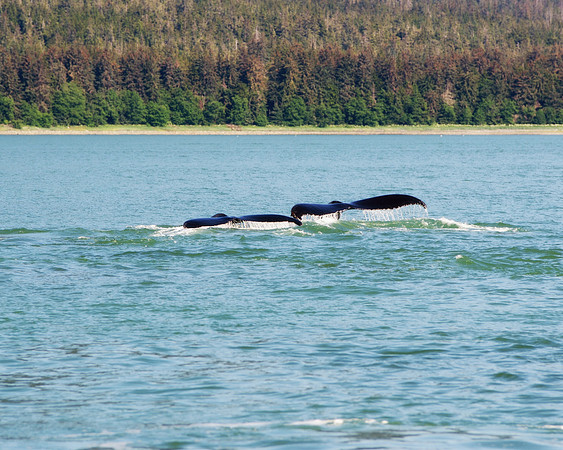 Alaska 2015 - 63 of 140