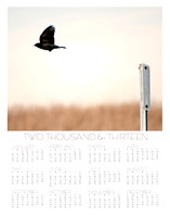 2013 wall calendar, at a glance photography calendar