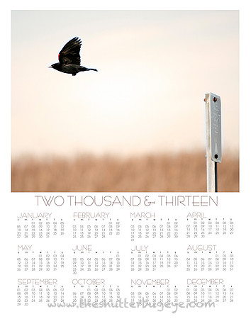 2013 wall calendar, at a glance photography calendar