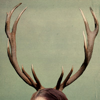 Antler Crown