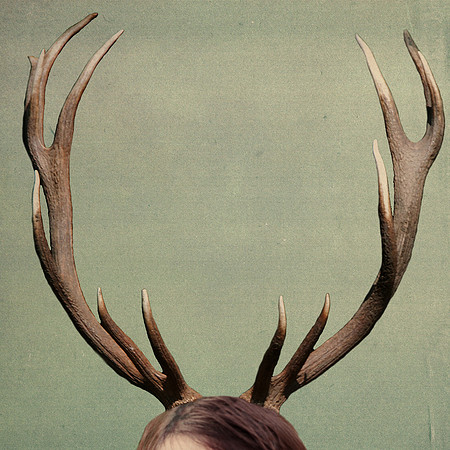 Antler Crown