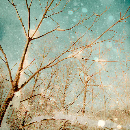 Snow Dream, Dreamy Nature Fine Art Photography
