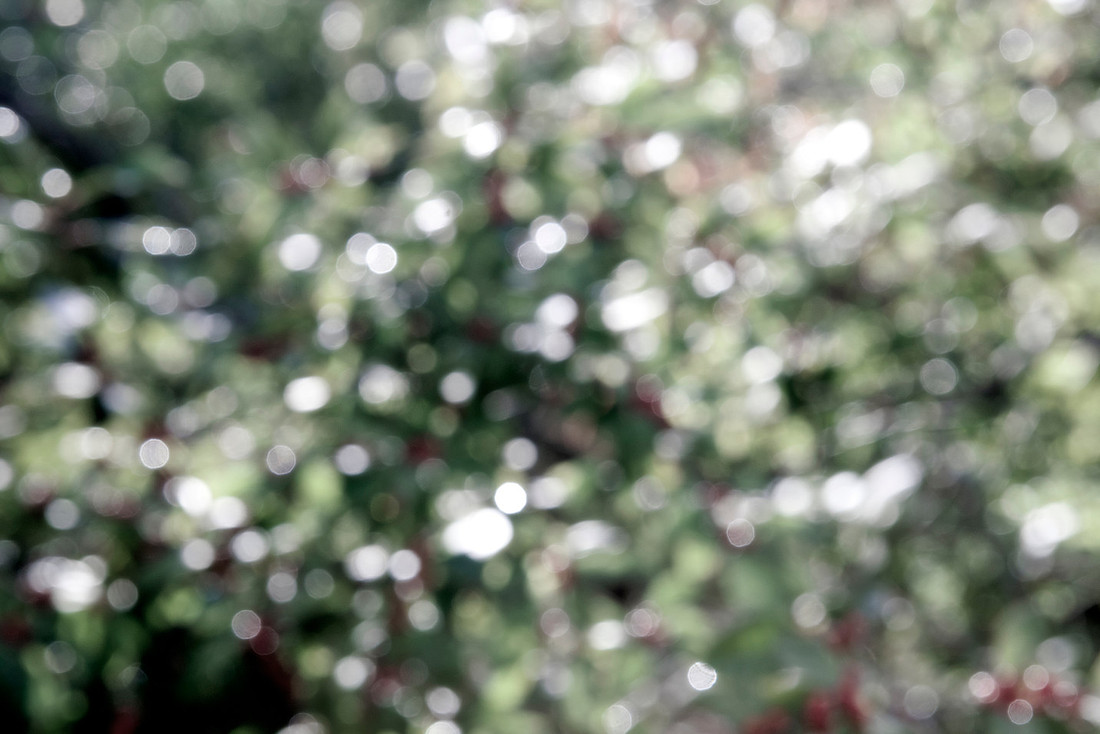 bokeh texture overlay free photoshop texture