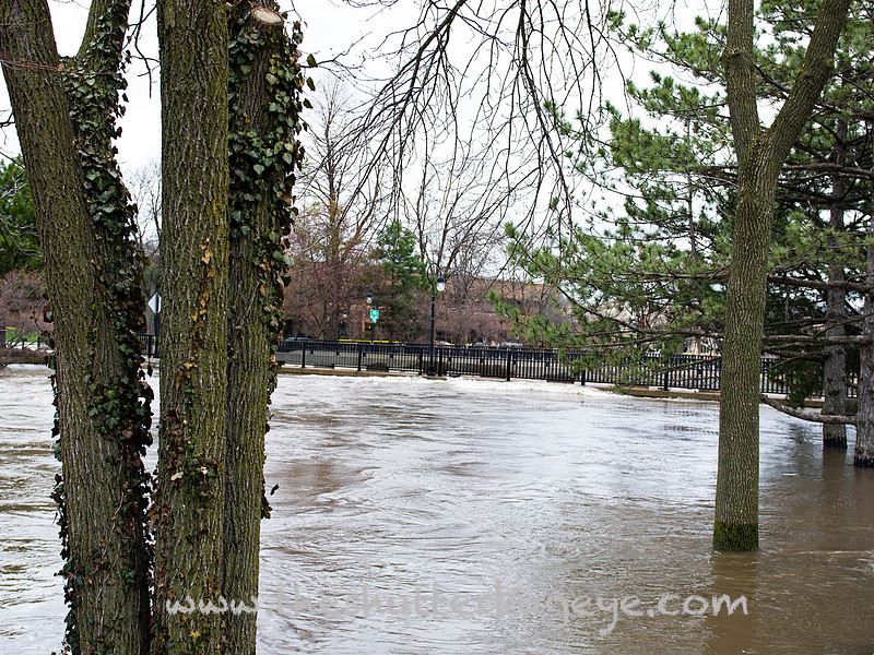 Naperville photography, flood waters, Dupage river
