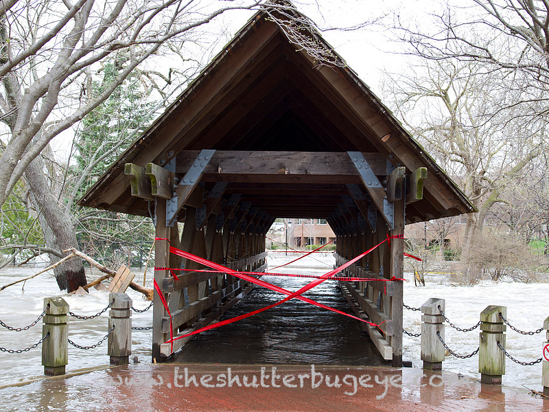 Naperville Photo, covered bridge, flood water