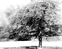 20130421 Cantigny - 03