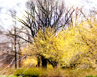 20130421 Cantigny - 14