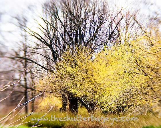 20130421 Cantigny - 14