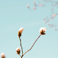 20130421 Cantigny - 18