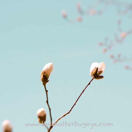 20130421 Cantigny - 18