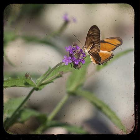 Gentle Landings