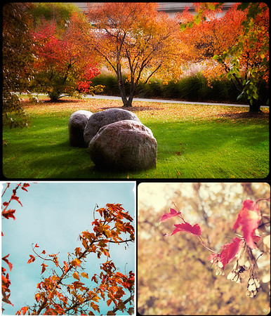 Three Reasons to Love Autumn