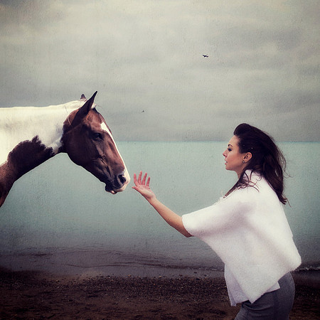 Her Horse