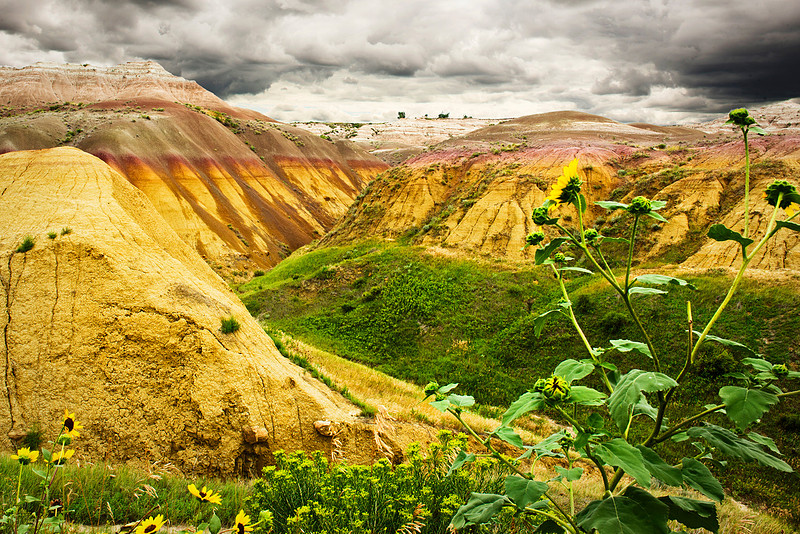 Yellow mounds, Badlands National Park, Landscape photography