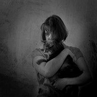 Cat's Love