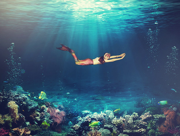 Underwater Scene - Tropical Seabed With Reef And Sunshine