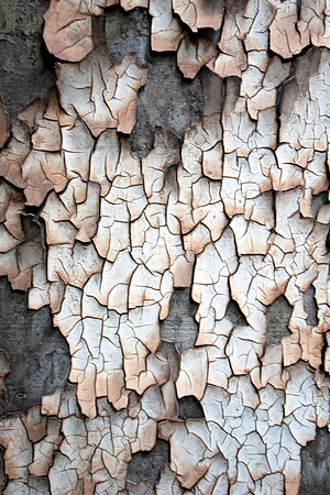 Peeling Texture 2