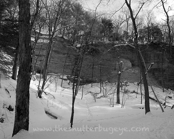 Nature Photograph for Sale, Dreamy Surreal Photography Prints