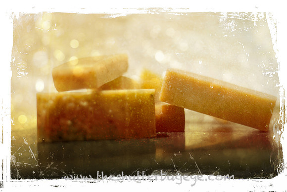 Still Life Photograph, Fine Art Photography Print for Sale