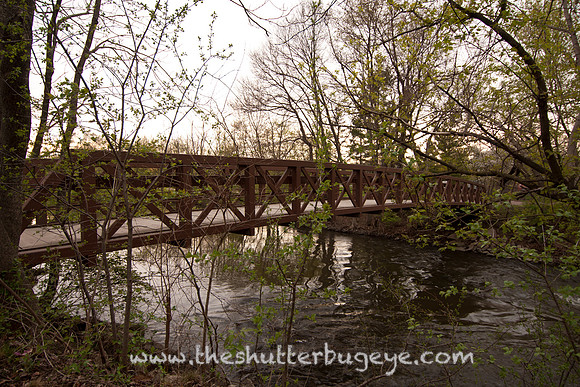 Dreamy Nature Photography, Fine Art Print for Sale