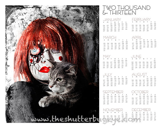 2013 wall calendar, at a glance photography calendar