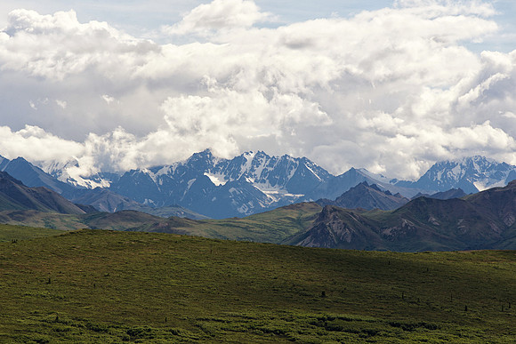 Alaska 2015 - 123 of 140 Denali