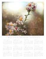 2013 wall calendar, at a glance photography calendar