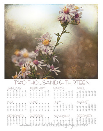 2013 wall calendar, at a glance photography calendar