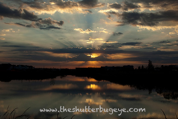 Dreamy Nature Photography, Fine Art Print for Sale