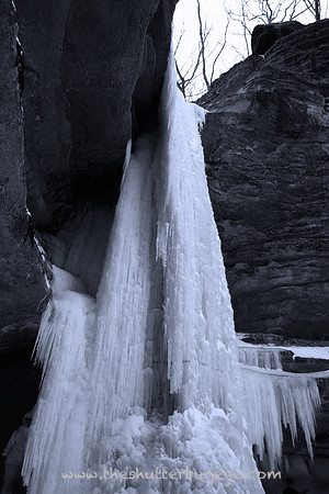 Dreamy Nature Photography, Fine Art Print for Sale