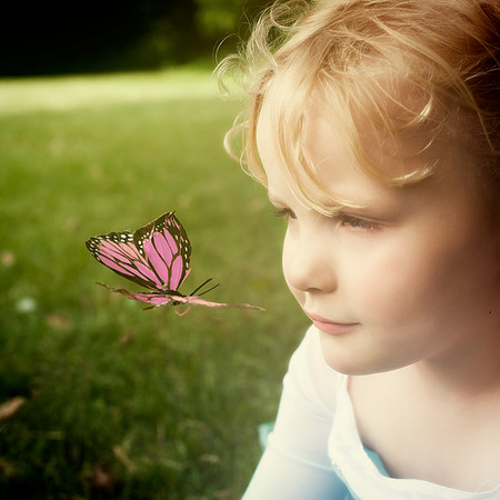 20140607 Avi Butterfly - 2