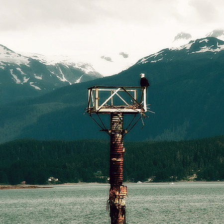 Alaska 2015 - 9 of 140 JEagle
