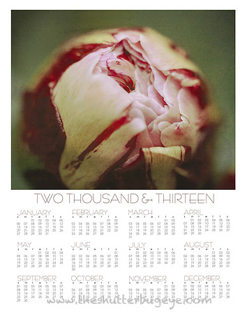 2013 wall calendar, at a glance photography calendar