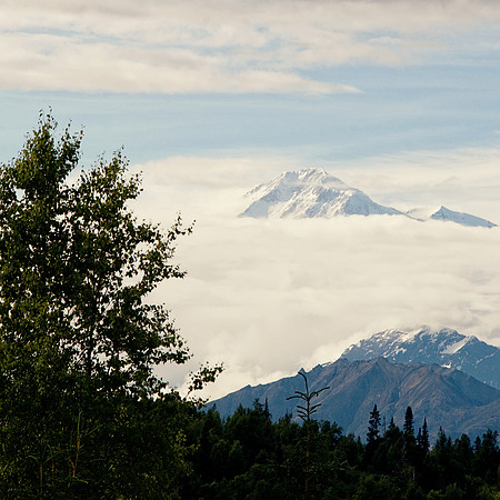 Alaska 2015 - 116 of 140 McKinley Square