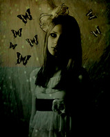 12-10-11 Paprocki - 15 butterfly