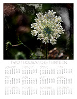 2013 wall calendar, at a glance photography calendar