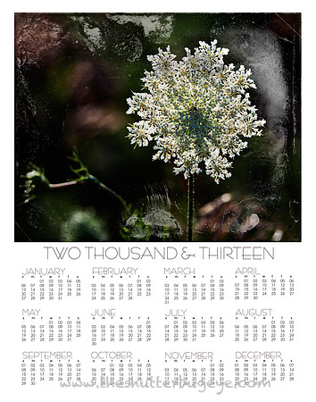 2013 wall calendar, at a glance photography calendar