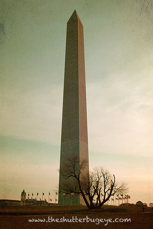 Washington Monument