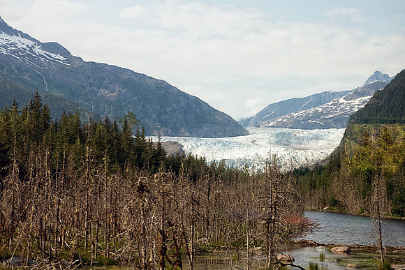 Alaska 2015 - 69 of 140 Mendenhall