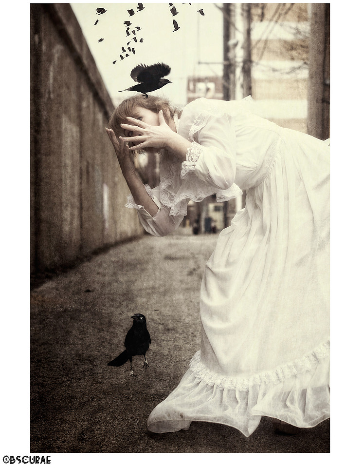 A Quiet Possession Series