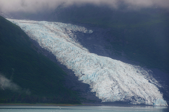 Alaska 2015 - 100 of 140 CollegeFjiord