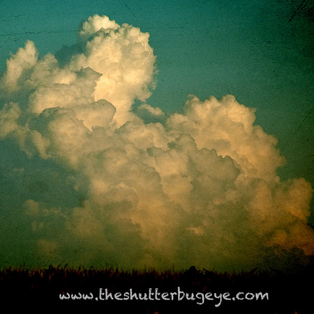 Dreamy Nature Photography, Fine Art Print for Sale