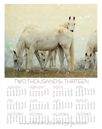 2013 wall calendar, at a glance photography calendar
