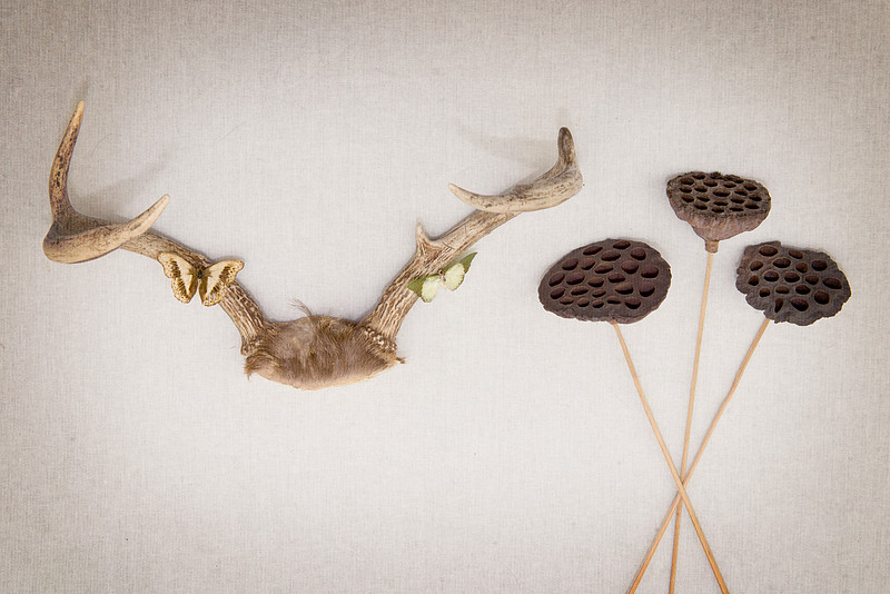 Deer antlers with butterflies and lotus pods. Home decor fine art print.
