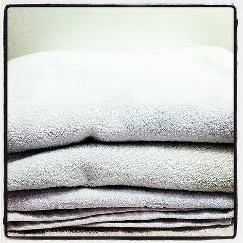 Day 1: White/Cream by The Shutterbug Eye™